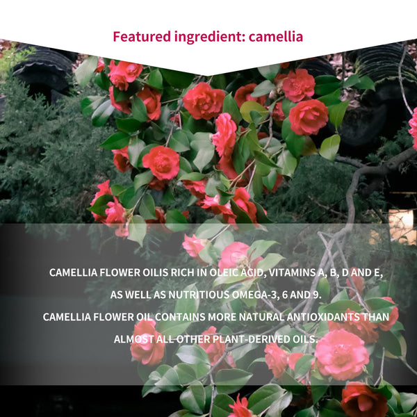 Mitomo Camellia Facial Essence Mask | 30 Sheets | Deep Moisture & Skin Repair [JPSS00612-D-0x003]